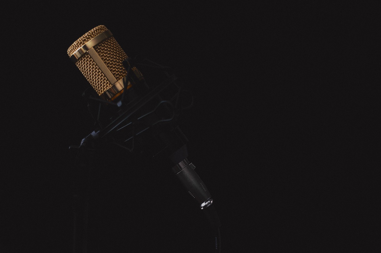 dark radio microphone studio